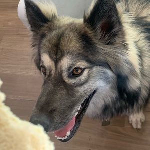 Meet your Posher, Josejr